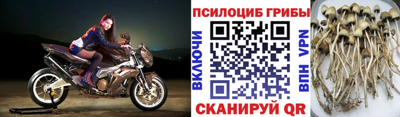Галлюциногенные грибы ЛСД Уссурийск