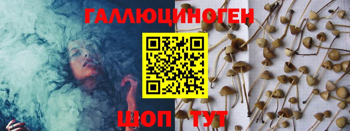 Галлюциногенные грибы Cubensis  Вход с VPN  Уссурийск  Галлюциногенные грибы мухоморы 