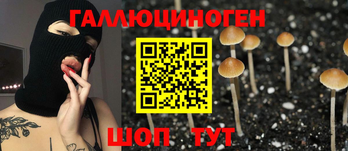 Псилоцибиновые грибы MAGIC MUSHROOMS  Псилоцибиновые грибы Magic Shrooms  наркотики  Вход с VPN  Уссурийск 